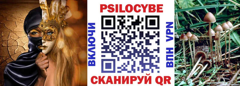 Галлюциногенные грибы Cubensis  где можно купить наркотик  Сольцы 